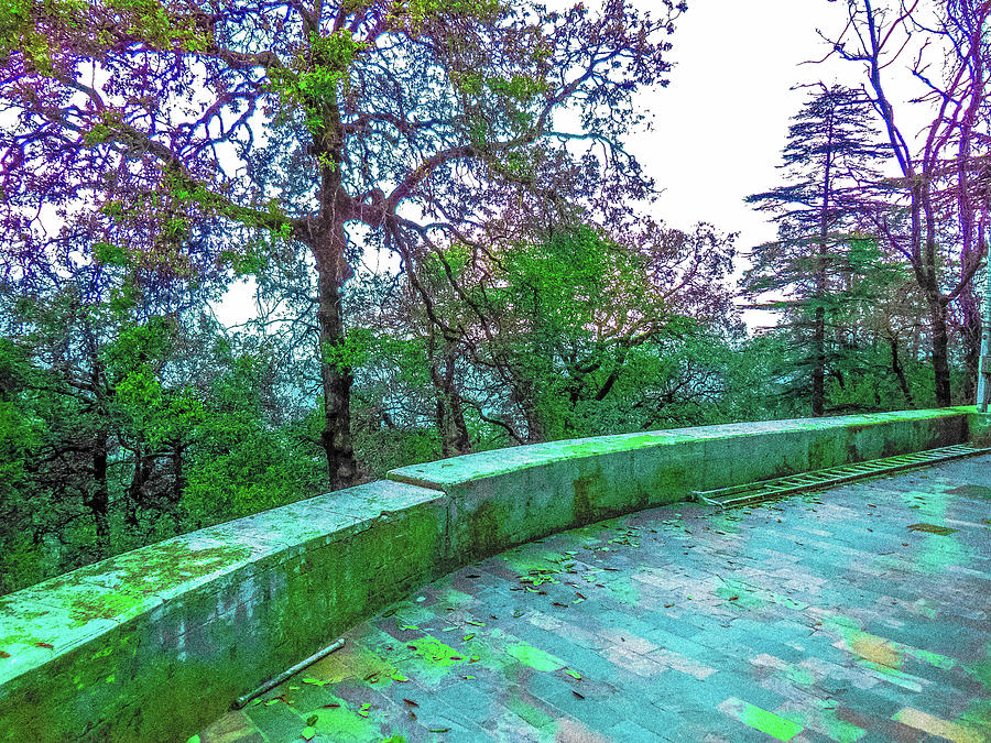 Colorful Path Photograph