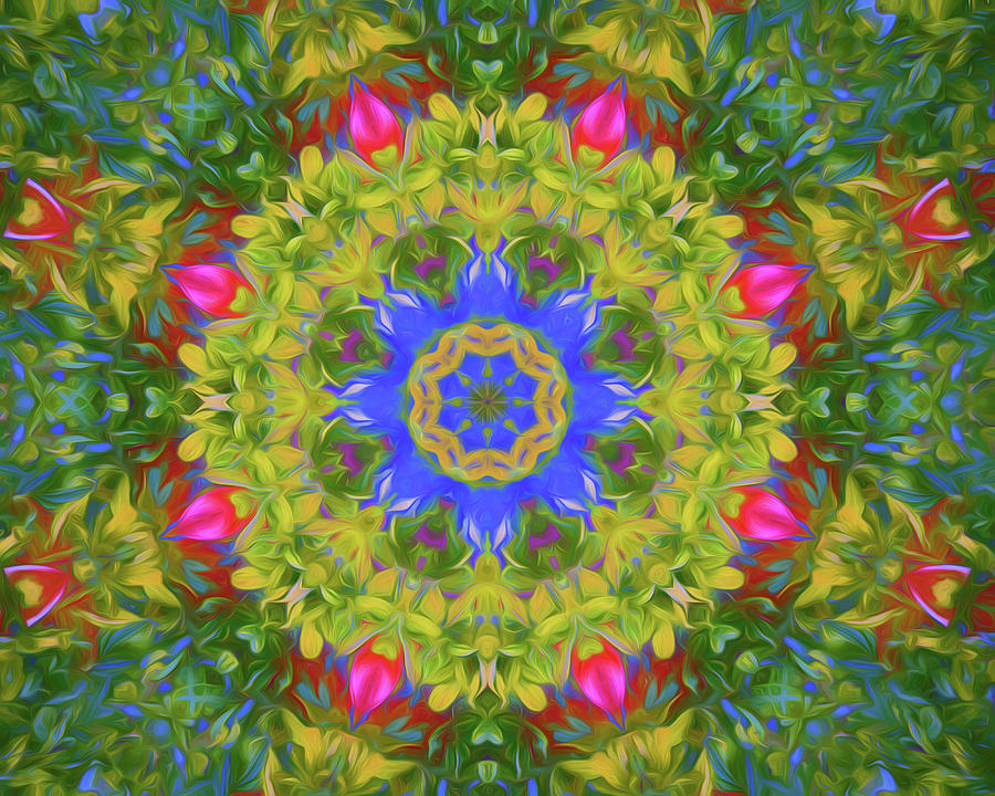 Colorful Pattern Circle Digital Art by Roy Pedersen
