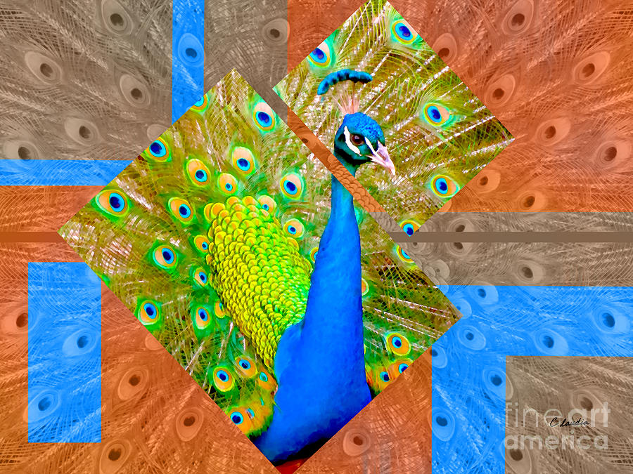Colorful Peacock Rectangular Version Photograph by Claudia Ellis