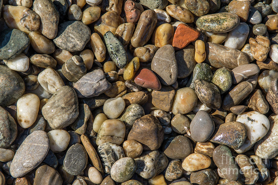 Colorful Pebbles Photograph by Andreas Berthold