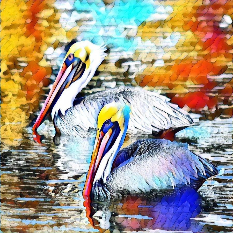 Colorful Pelican Photograph by Alison Belsan Horton
