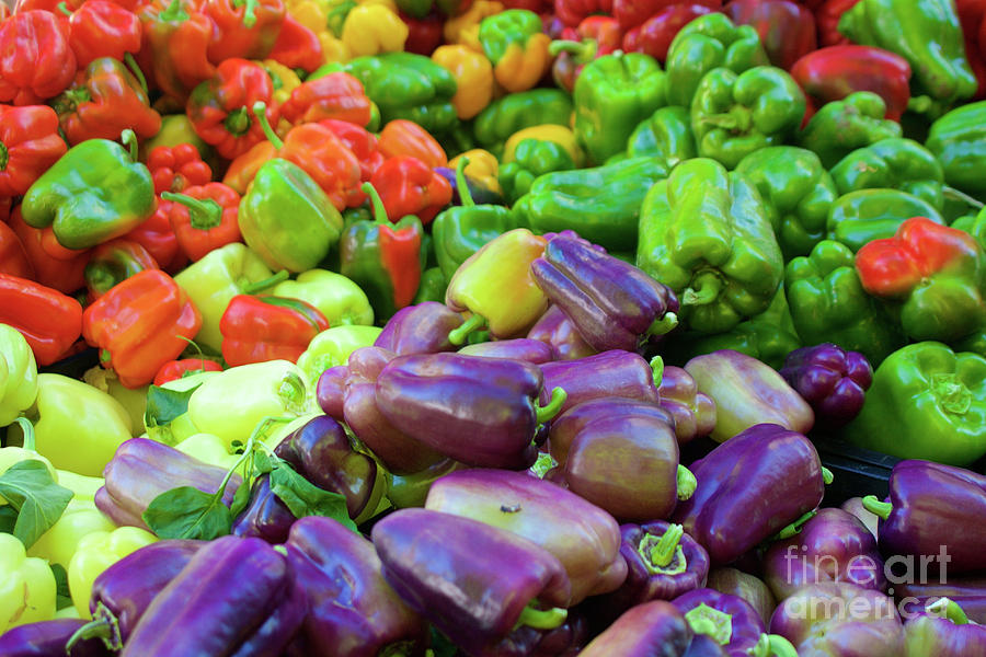 Colorful peppers Photograph by Bruce Block