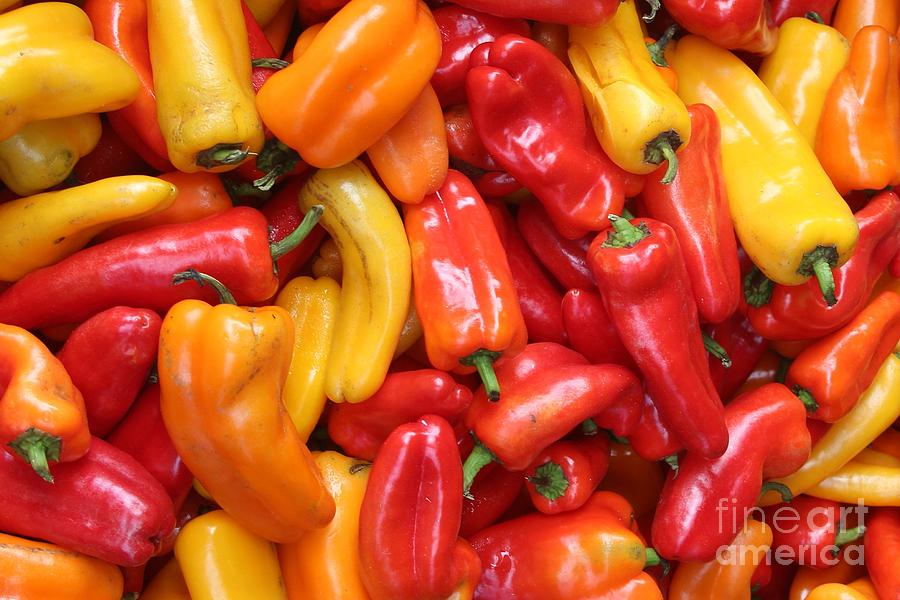 Colorful Peppers Photograph by Robert Wilder Jr