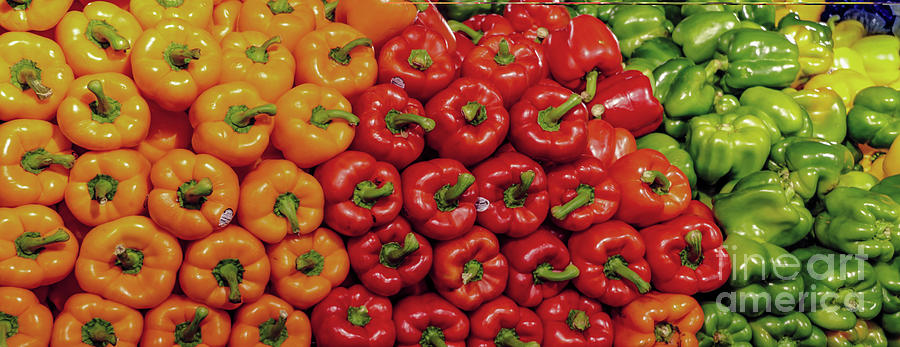 Colorful Peppers Photograph by Thomas Marchessault