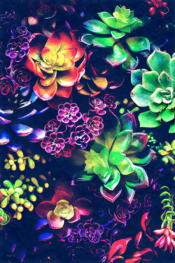 Colorful Plants  Photograph by Phil Perkins