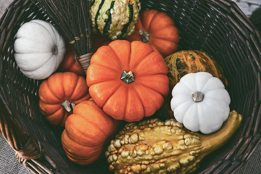 Colorful Pumpkins by Evgeniya Lystsova Colorful Pumpkins by Evgeniya Lystsova