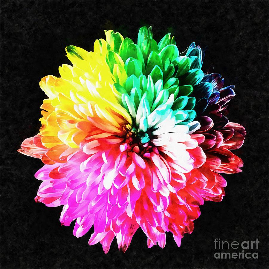Flowers Still Life Painting - Colorful Rainbow Flower by Edward Fielding