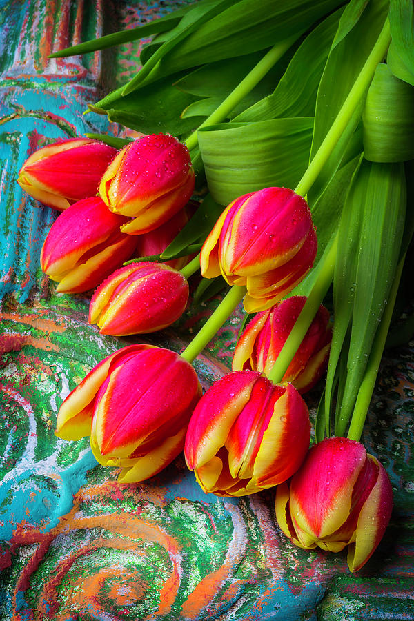 Colorful Red And Yellow Tulips Photograph by Garry Gay