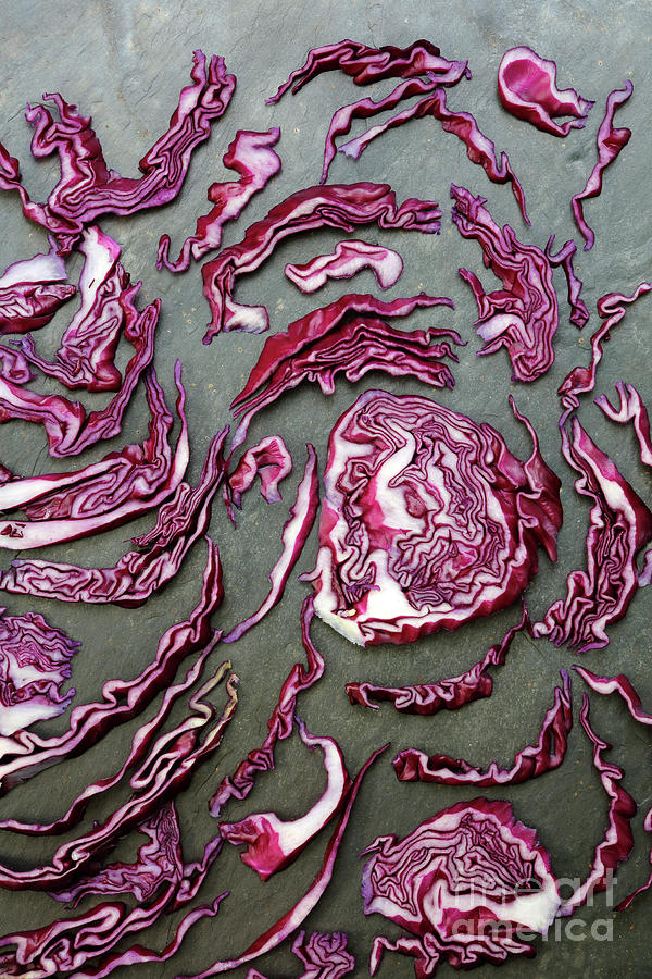 Colorful red cabbage Photograph by Nicholas Burningham