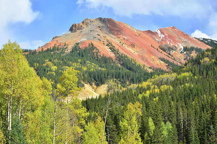 Colorful Red Mountain and Aspens Photograph by Ray Mathis