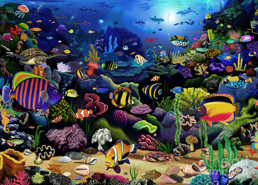 Fish Digital Art - Colorful Reef by MGL Meiklejohn Graphics Licensing