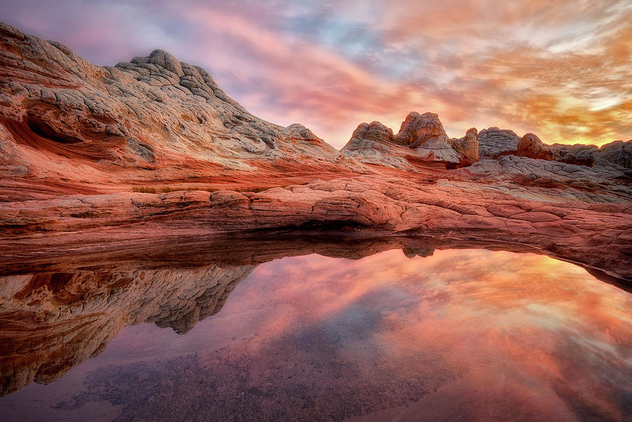 Colorful Reflection Photograph by Nicki Frates
