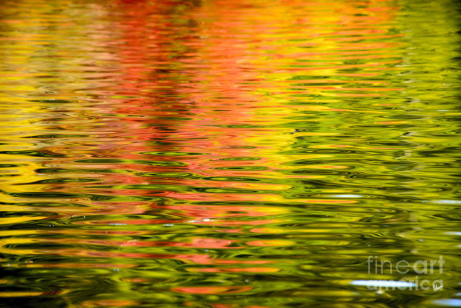 Colorful Reflections Photograph