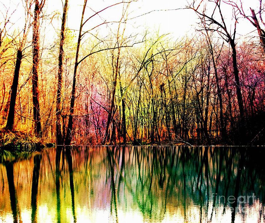 Colorful Reflections Digital Art by Patty Vicknair