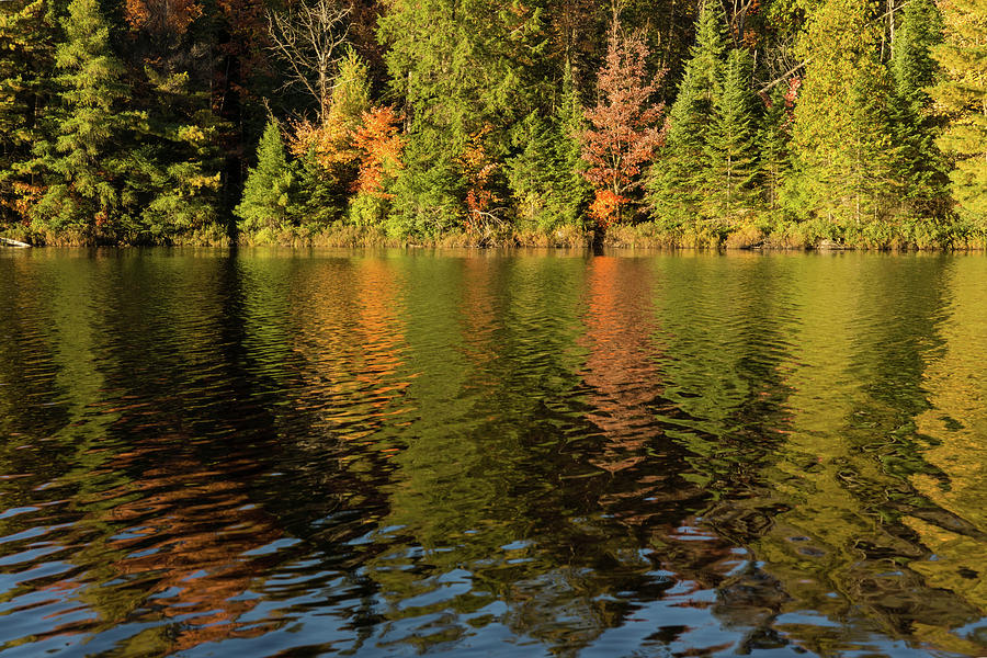 Colorful Ripples - Autumnal Forest Lake Photograph by Georgia Mizuleva