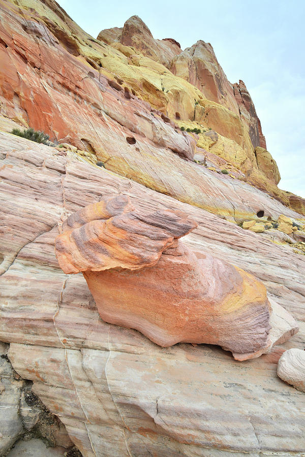 Colorful Rock in Golden Domes Area - Valley of Fire Photograph by Ray Mathis