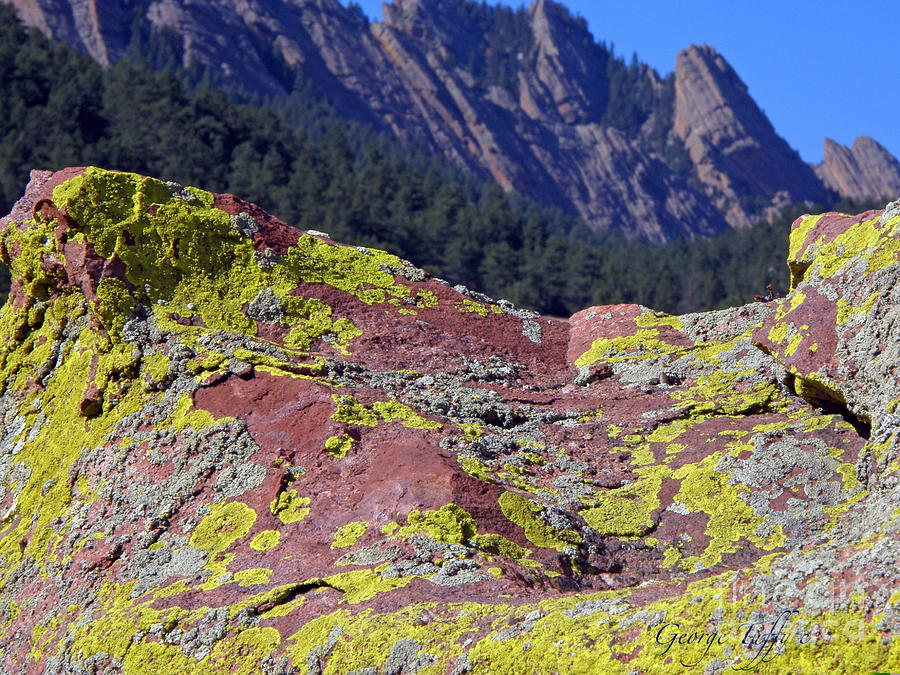 Colorful rock Mesatrail Photograph by George Tuffy