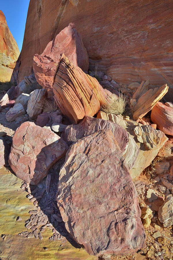 Colorful Rock Pile in Valley of Fire Photograph by Ray Mathis