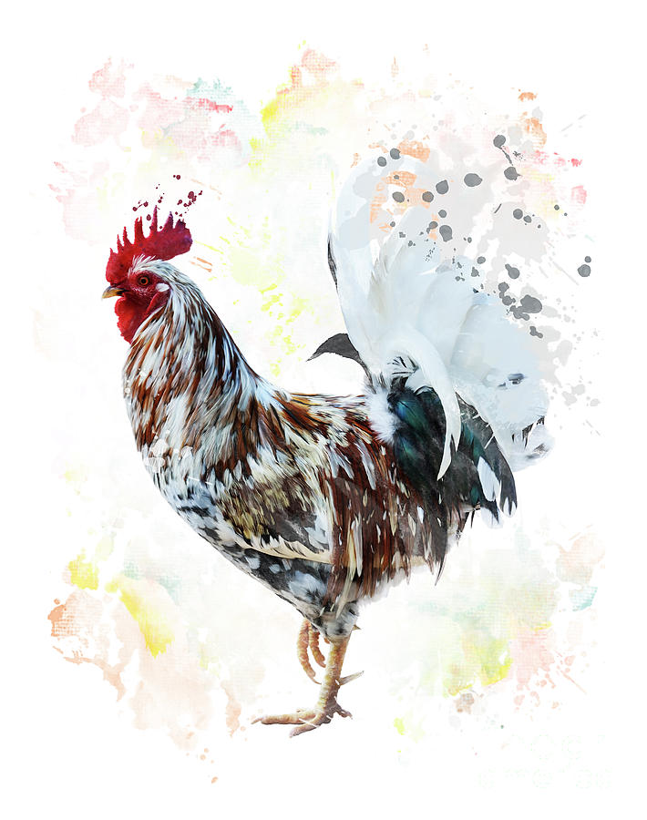 Rooster Digital Art - Colorful Rooster by Svetlana Foote
