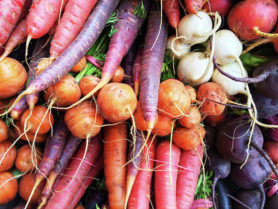 Vegetable Photograph - Colorful root vegetables by GoodMood Art