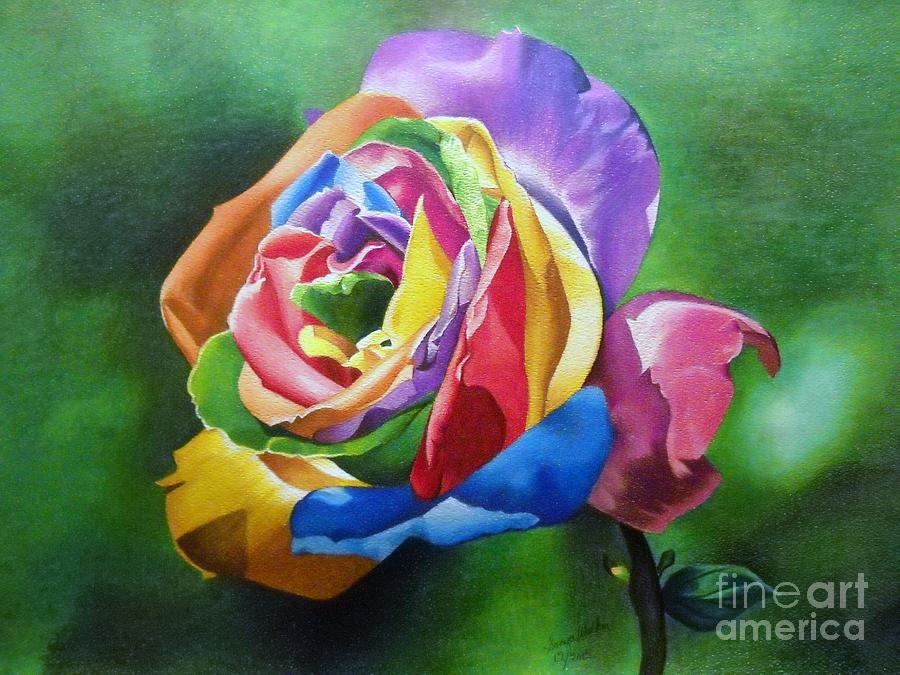 Colorful Rose Drawing by Sonya Walker
