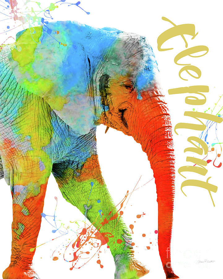 Typography Digital Art - Colorful Safari Animals C by Jean Plout