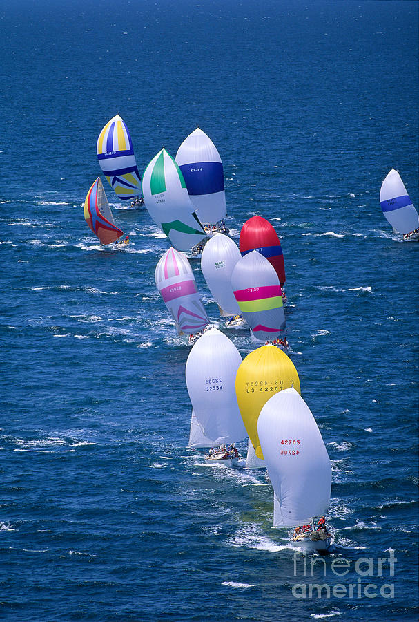 Colorful Sails In Ocean Photograph by Sharon Green - Printscapes