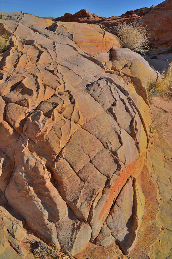 Colorful Sandstone Balls in Valley of Fire Photograph by Ray Mathis