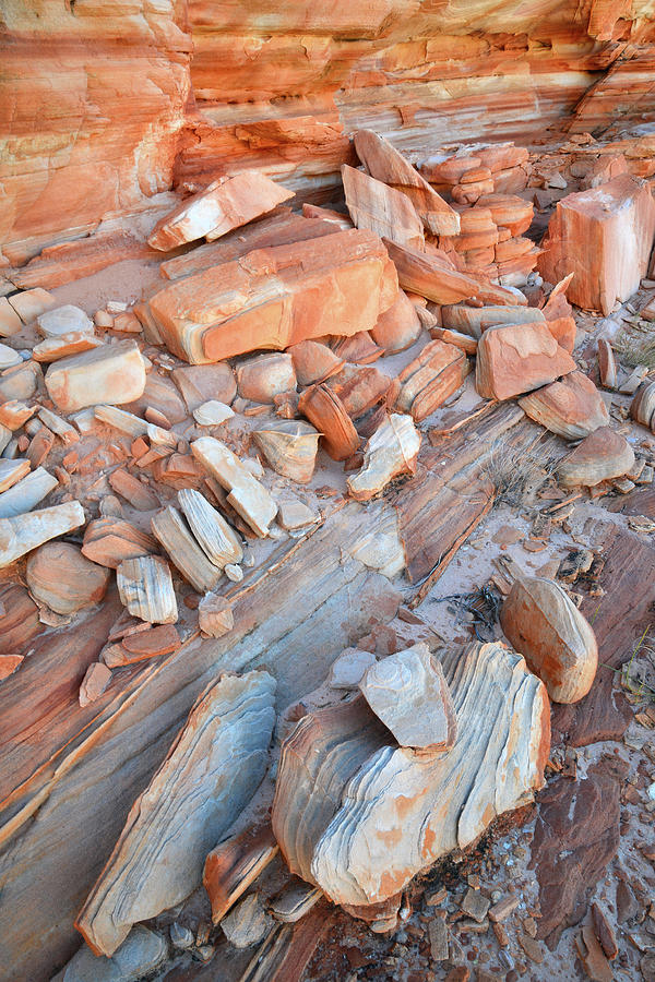 Colorful Sandstone Cove in Valley of Fire Photograph by Ray Mathis