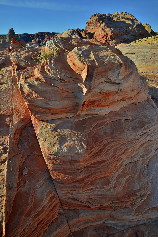 Colorful Sandstone Croppings of Valley of Fire Photograph by Ray Mathis