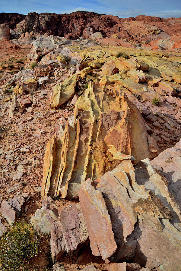 Colorful Sandstone Fins in Valley of Fire Photograph by Ray Mathis