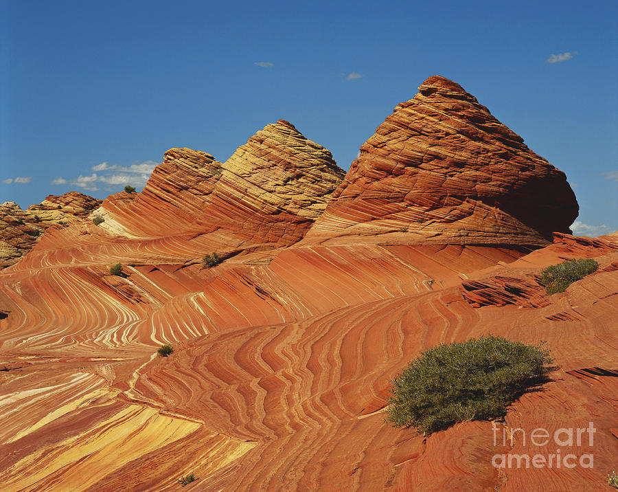 Colorful Sandstone In Arizona Photograph by Adam Jones