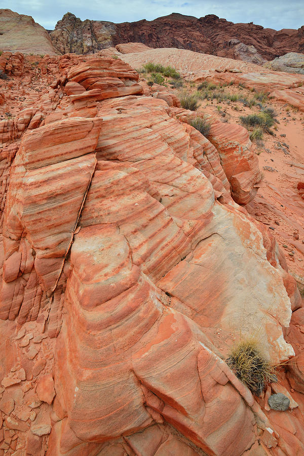 Colorful Sandstone in Valley of Fire State Park Photograph by Ray Mathis