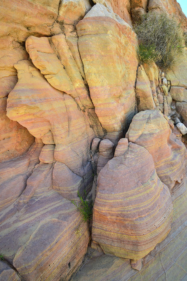 Colorful Sandstone in Wash 3 in Valley of Fire Photograph by Ray Mathis
