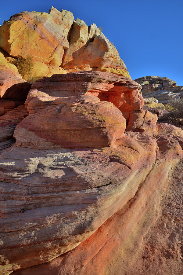 Colorful Sandstone of Pastel Canyon - Valley of Fire Photograph by Ray Mathis