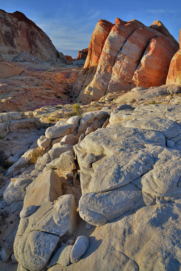 Colorful Sandstone of Valley of Fire at Sunset Photograph by Ray Mathis
