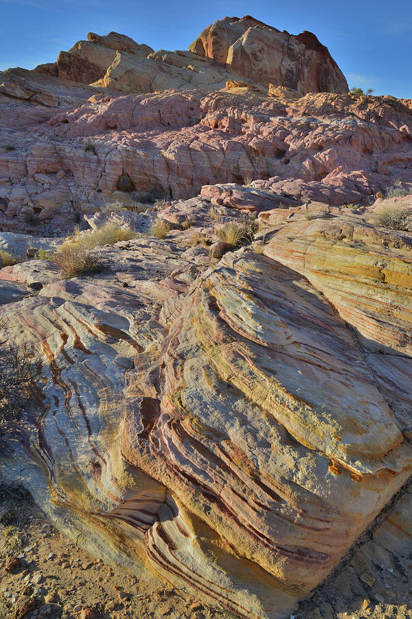 Colorful Sandstone of Valley of Fire State Park Photograph by Ray Mathis