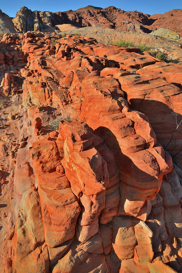 Colorful Sandstone Ridges of Valley of Fire Photograph by Ray Mathis