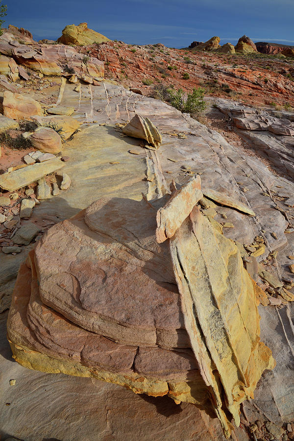 Colorful Sandstone Sculptures in Valley of Fire Photograph by Ray Mathis