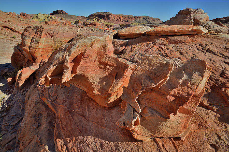 Colorful Sandstone Shapes of Valley of Fire Photograph by Ray Mathis