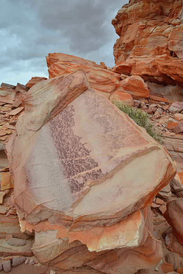Colorful Sandstone Slab in Valley of Fire Photograph by Ray Mathis