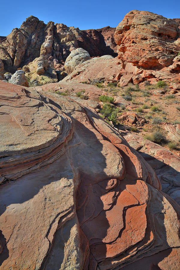 Colorful Sandstone Slabs in Valley of Fire Photograph by Ray Mathis