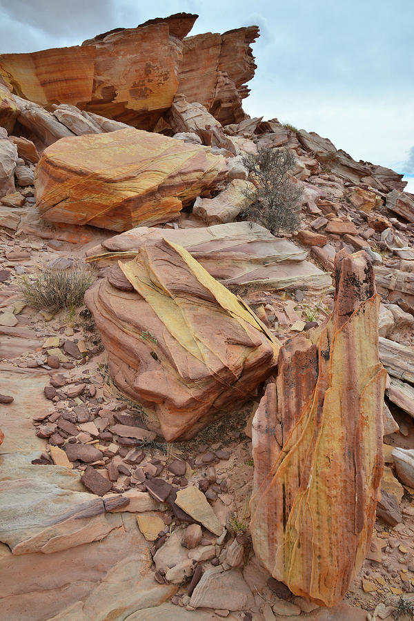 Colorful Sculptures in Valley of Fire Photograph by Ray Mathis