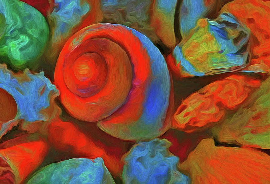 Shell Photograph - Colorful Sea Shells by Georgiana Romanovna