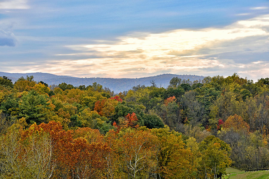 Colorful Shenandoah Valley Autumn - Virginia Photograph by Brendan Reals
