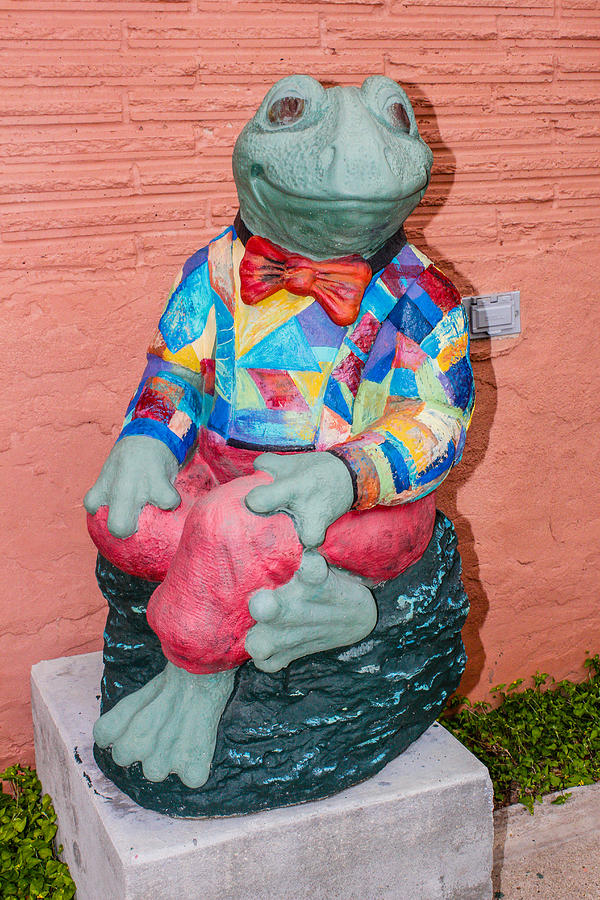 Colorful Shirt Frog Photograph by Robert Hebert