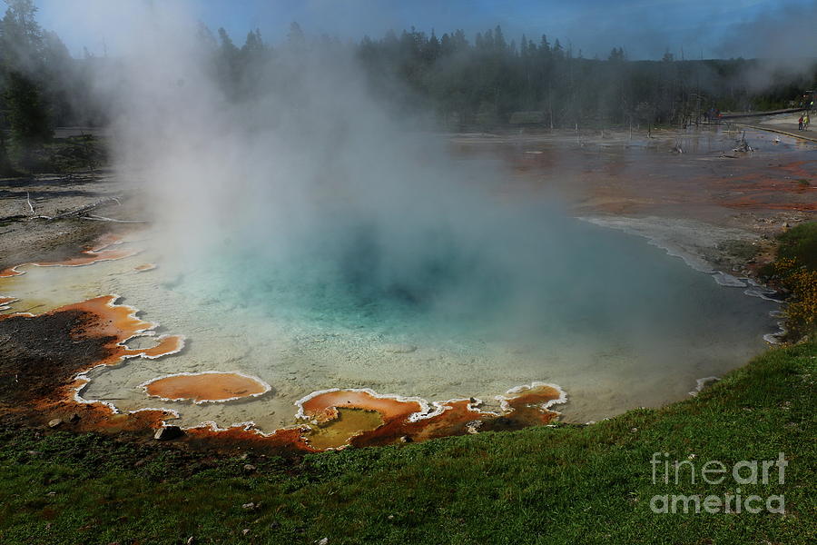 Yellowstone National Park Photograph - Colorful Silex Spring by Christiane Schulze Art And Photography