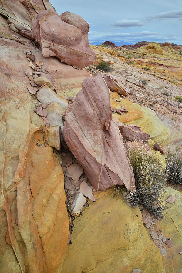 Colorful Slopes of Sandstone in Valley of Fire State Park Photograph by Ray Mathis