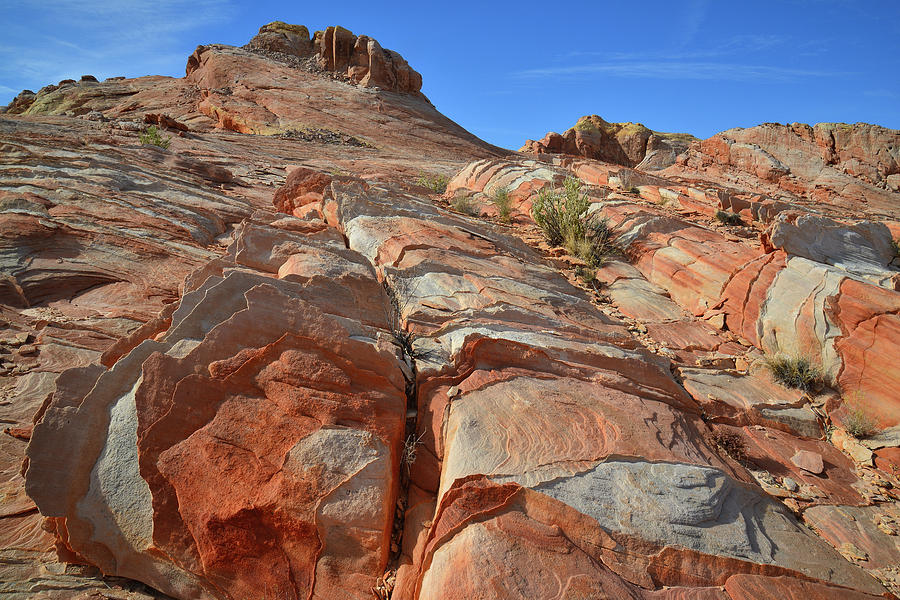 Colorful Slopes of Valley of Fire Photograph by Ray Mathis