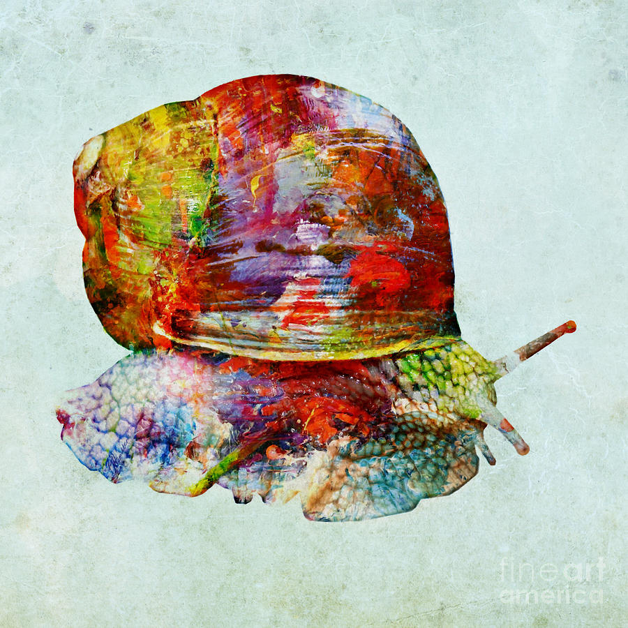 Colorful Snail Art  Mixed Media by Olga Hamilton